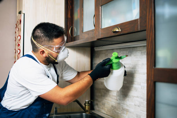 Best Pest Control Near Me in Lynden, WA